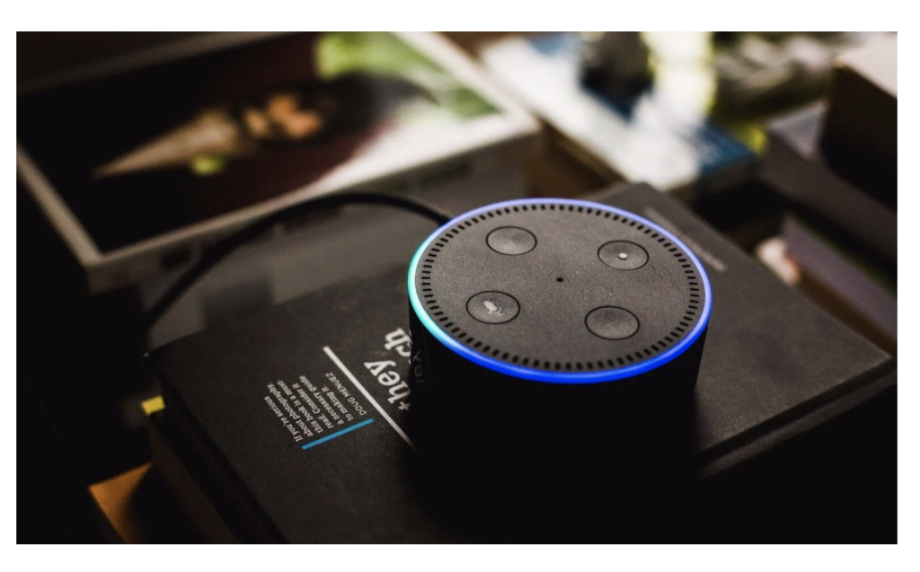 Amazon Echo's voice device