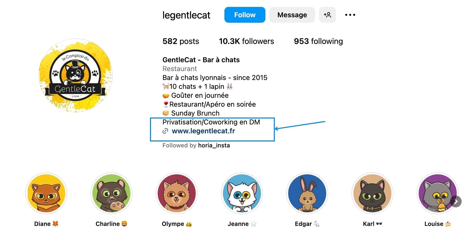 page instagram avec lien vers site internet