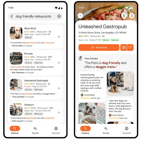 ai overview esempio 