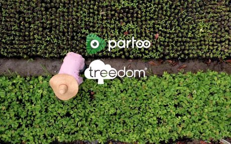 partoo forestoo treedom