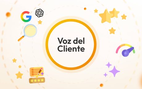 Voz del Cliente