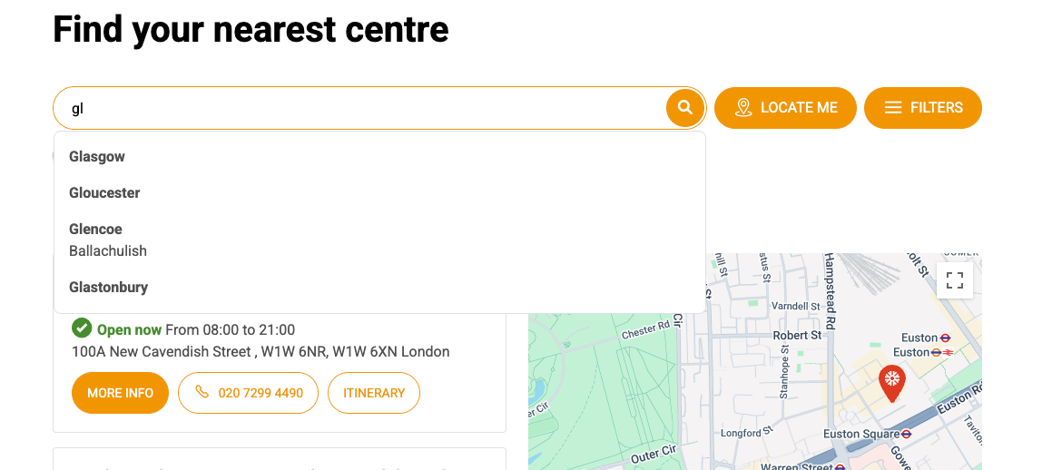 Autofill feature in the search bar